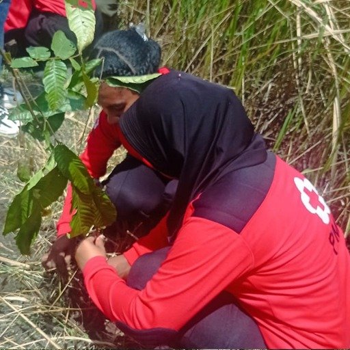 <span class="jet-engine-query-count query-161 count-type-total" data-query="161">0</span> Layanan